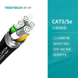 CAT5/5e（5类网线）